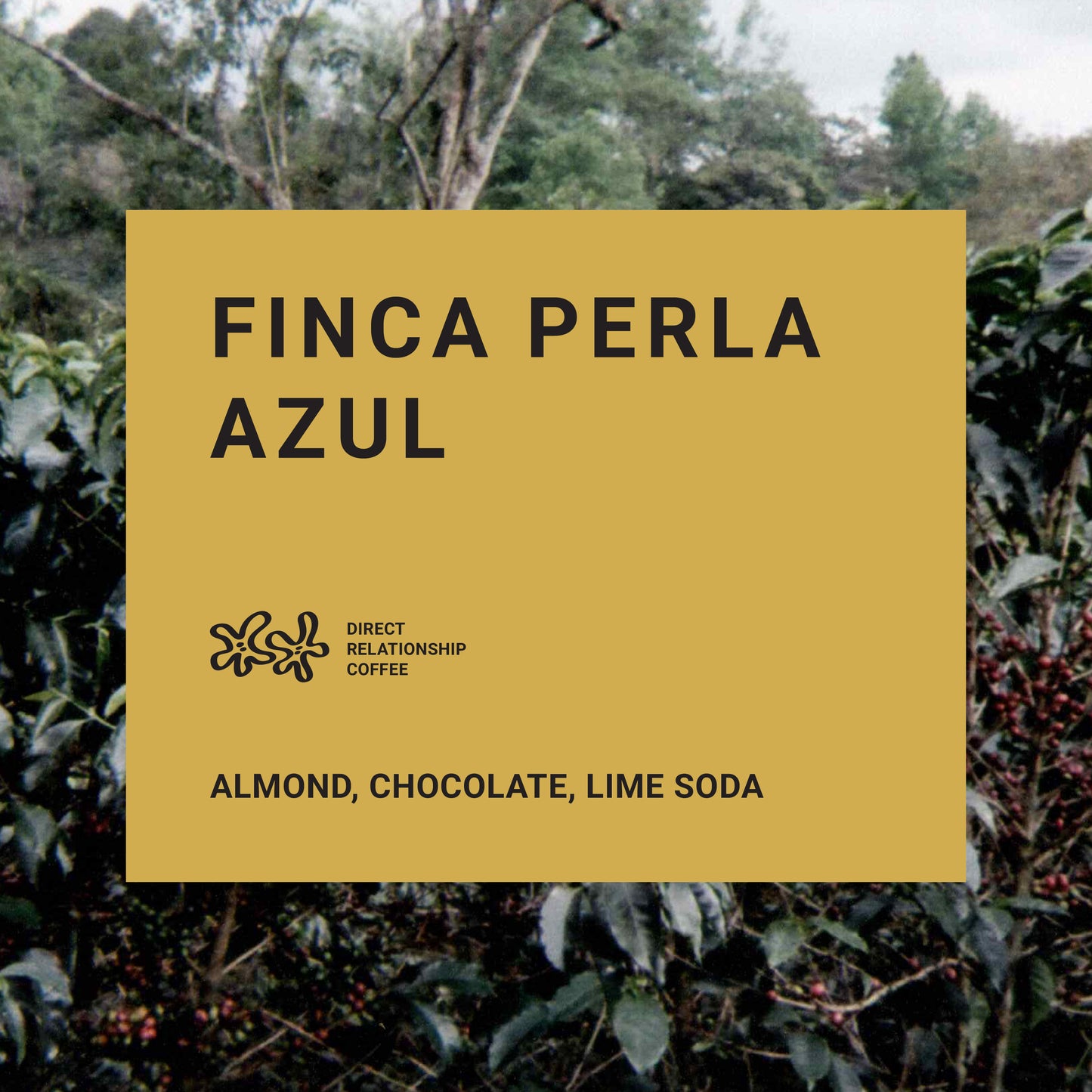 Finca Perla Azul