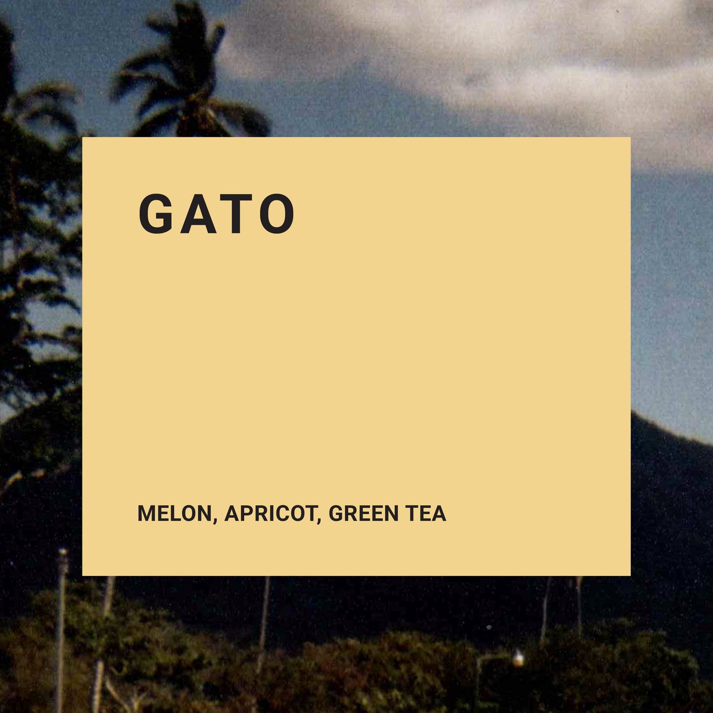 Gato - Recluse Roasting Project