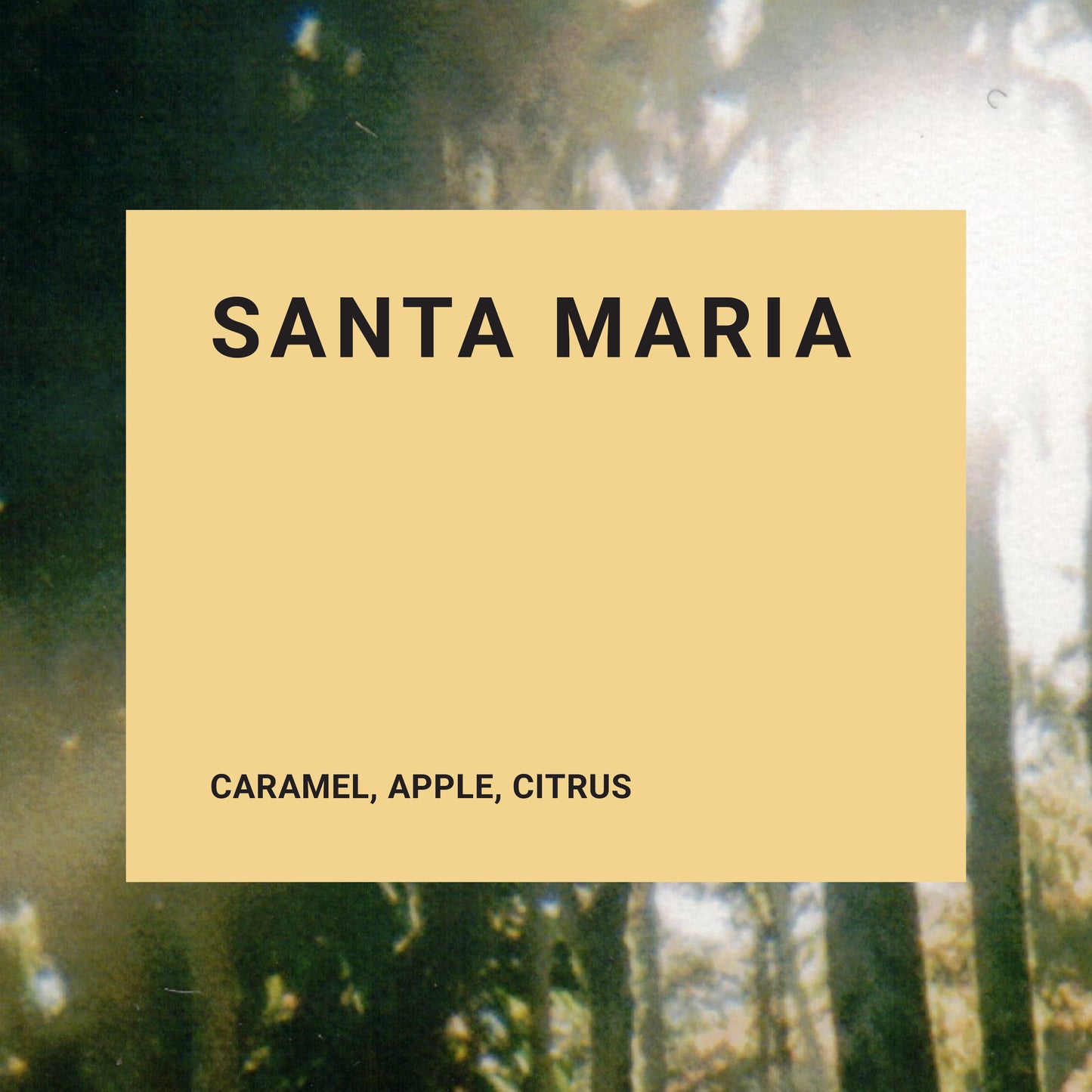 Santa Maria - Recluse Roasting Project