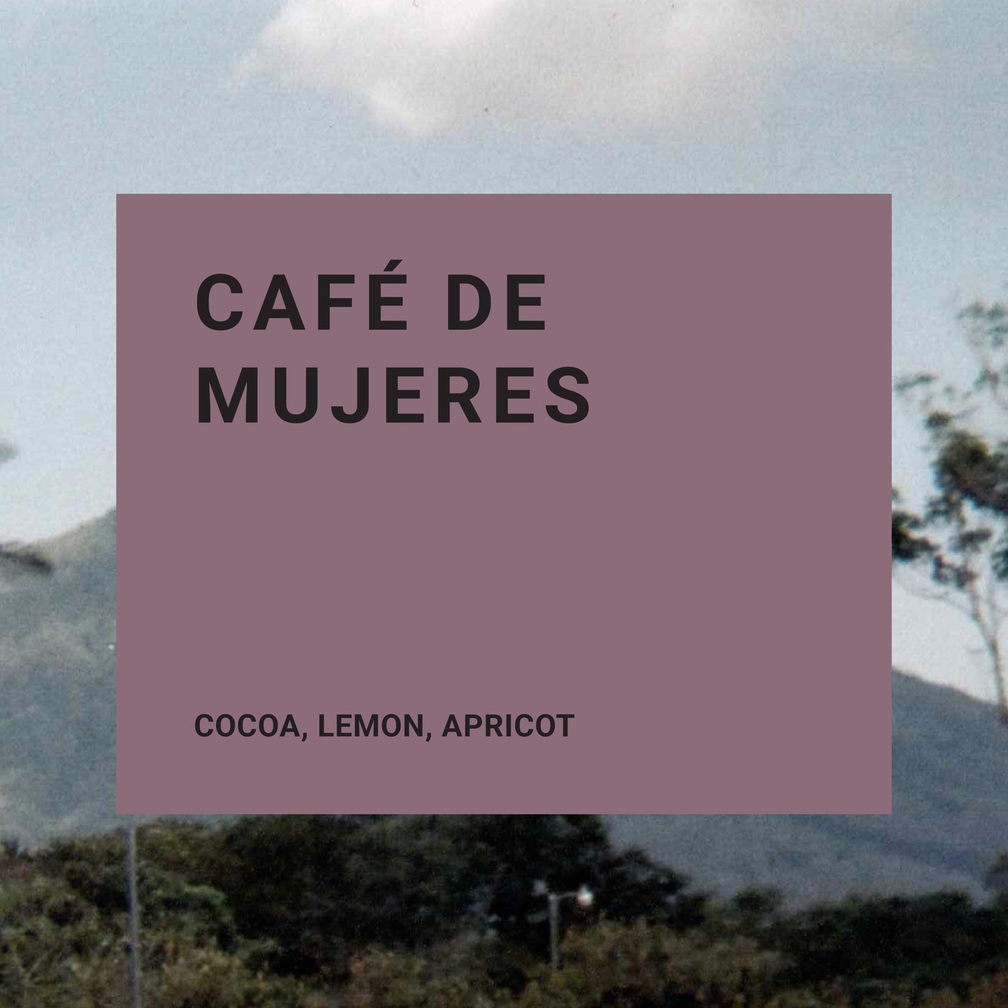Cafe de Mujeres - Recluse Roasting Project 