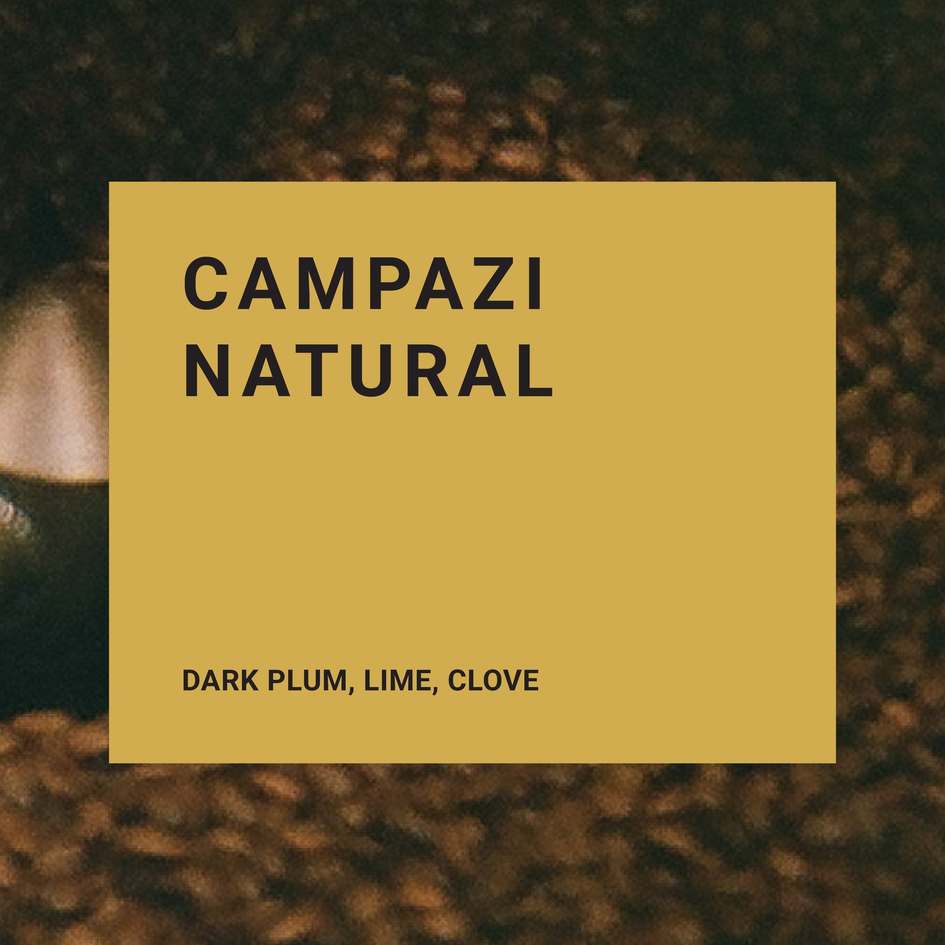 BSS Campazi Natural - Recluse Roasting Project 