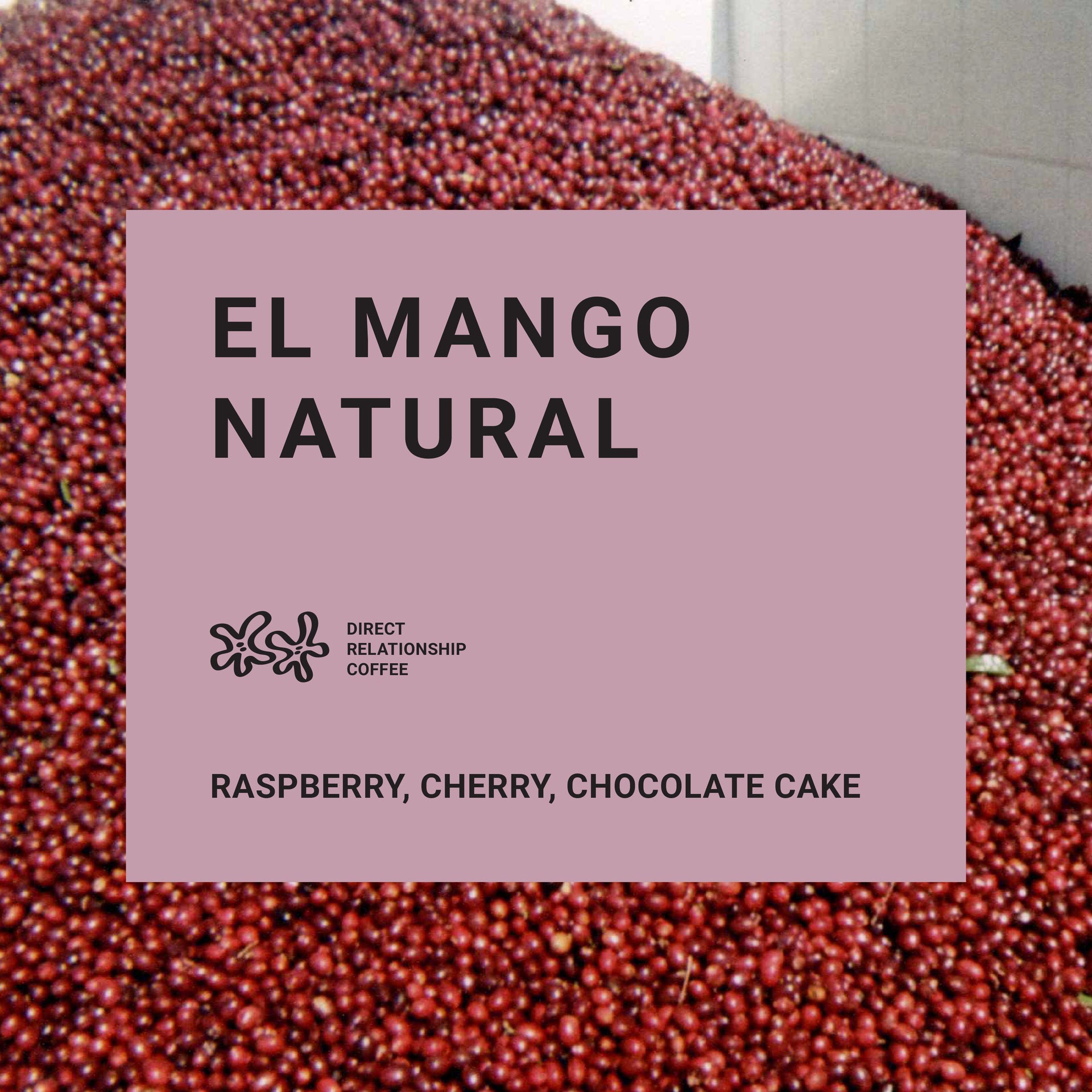 Photo of El Mango Natural