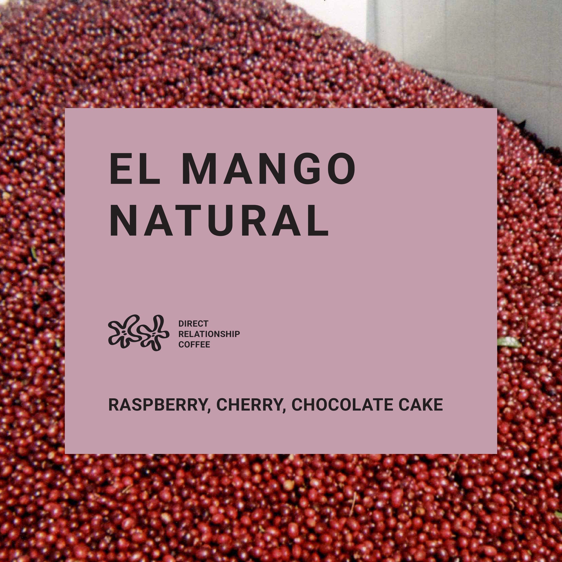 El Mango Natural - Recluse Roasting Project 