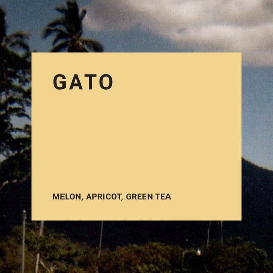 Gato - Recluse Roasting Project 