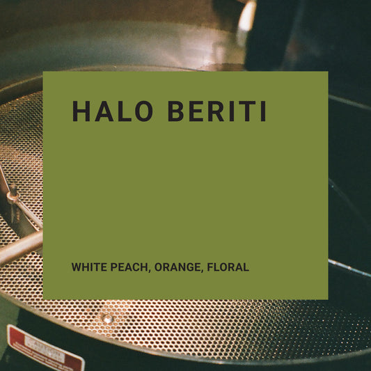 Halo Beriti - Recluse Roasting Project 