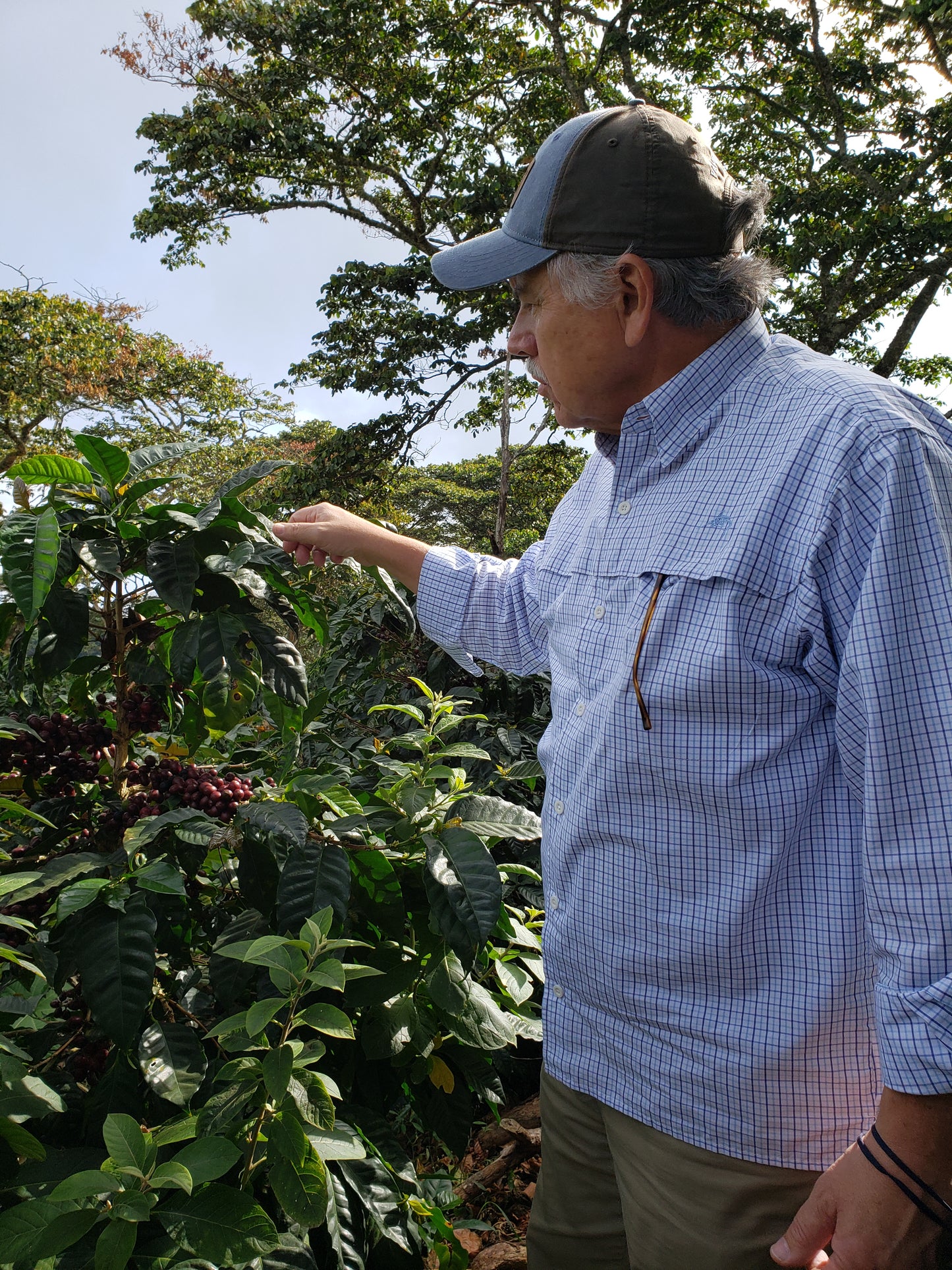 El Salvador-Quemela - Recluse Roasting Project 