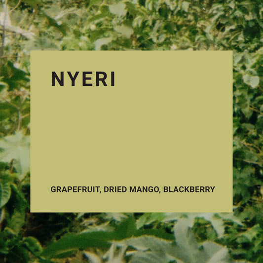 Kenya- Nyeri AA