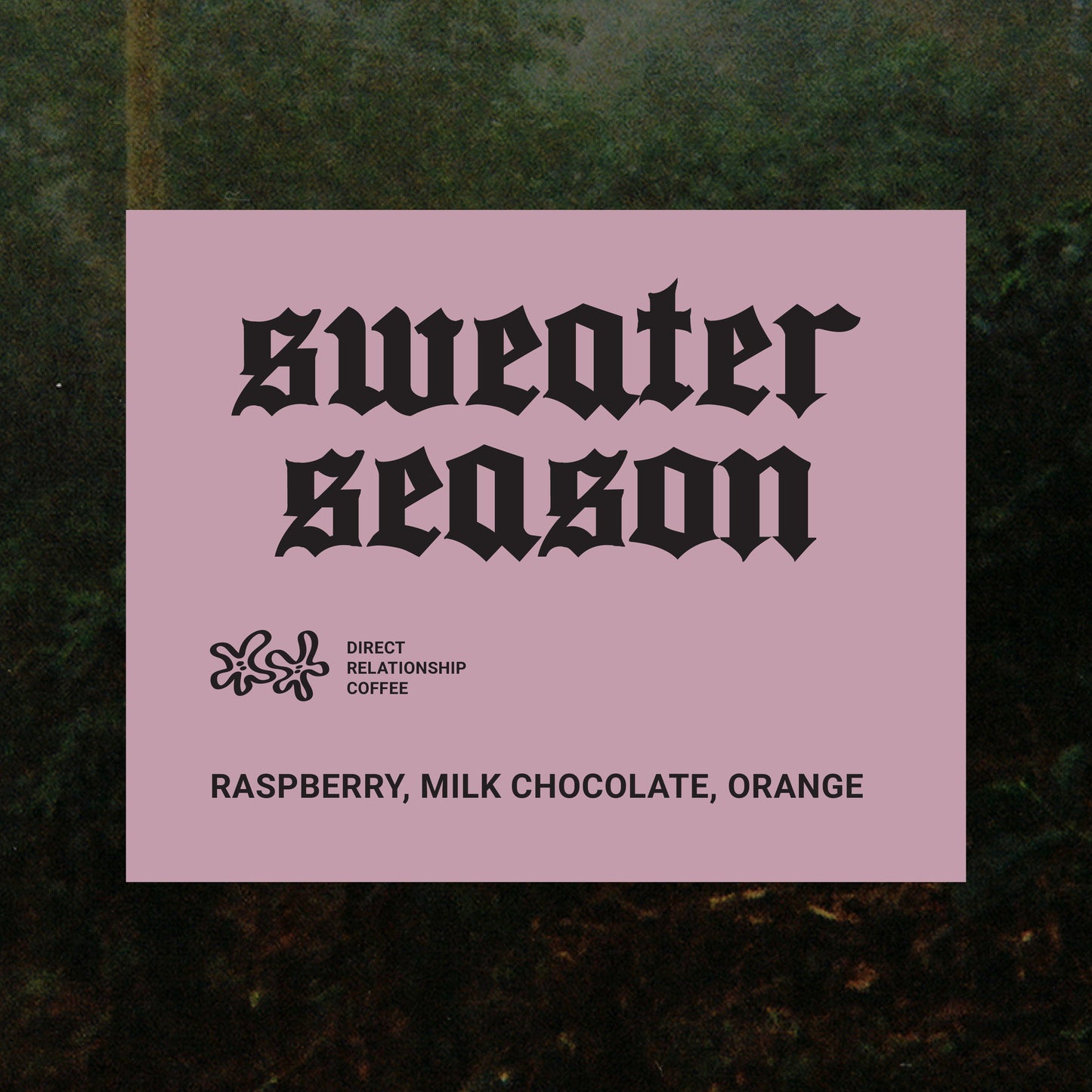 Sweater Season Blend - Recluse Roasting Project 