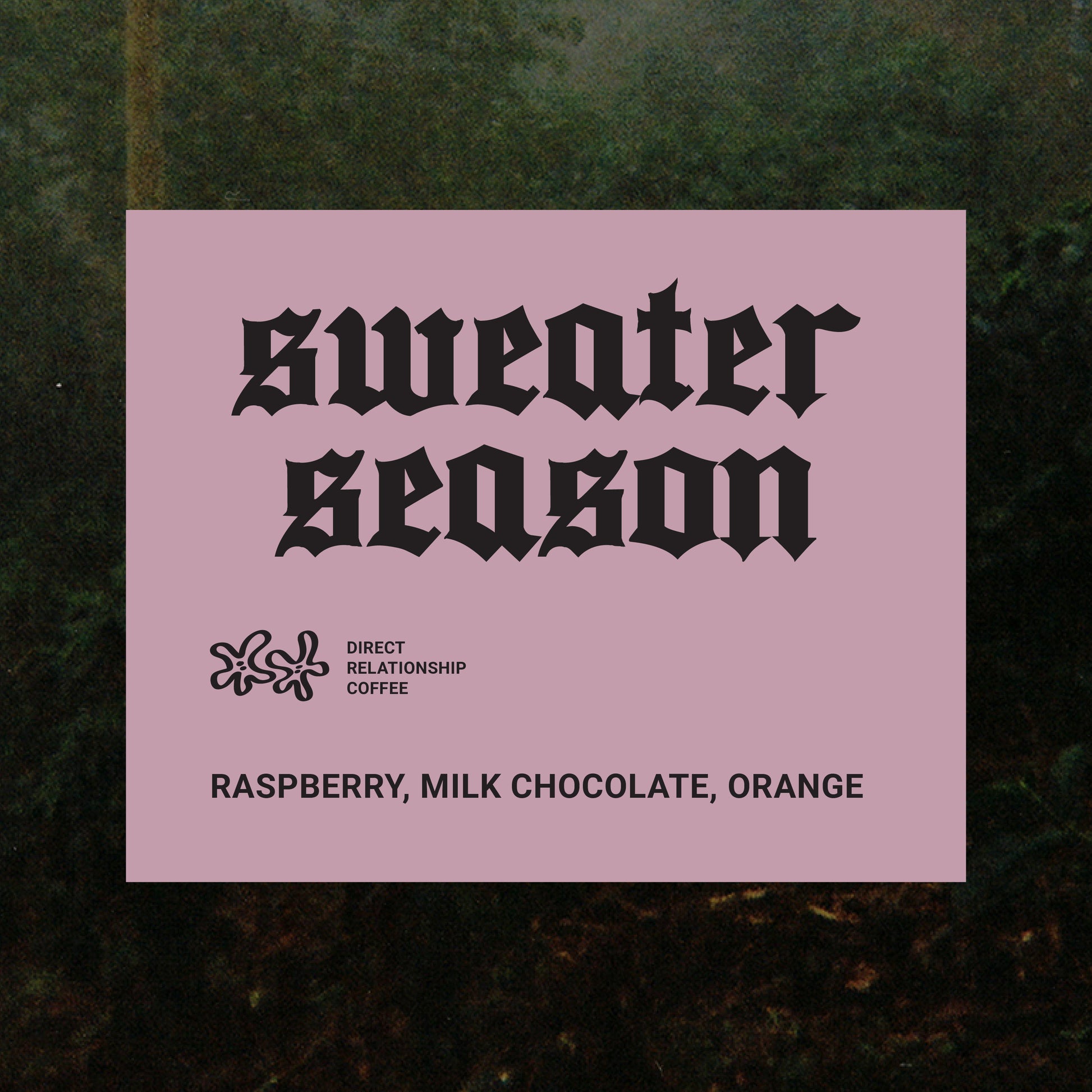 Sweater Season Blend - Recluse Roasting Project 