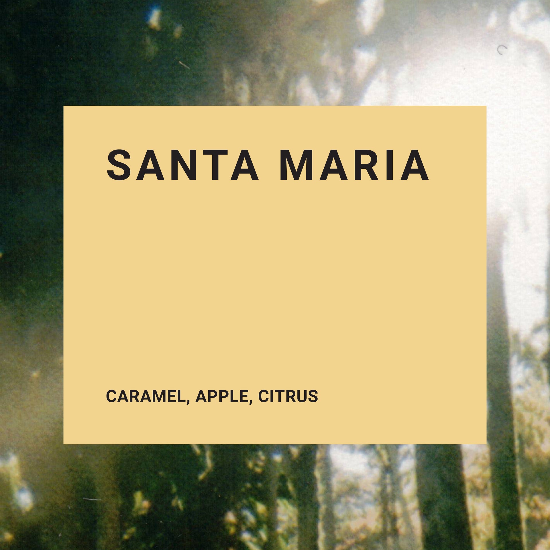 Photo of Santa Maria