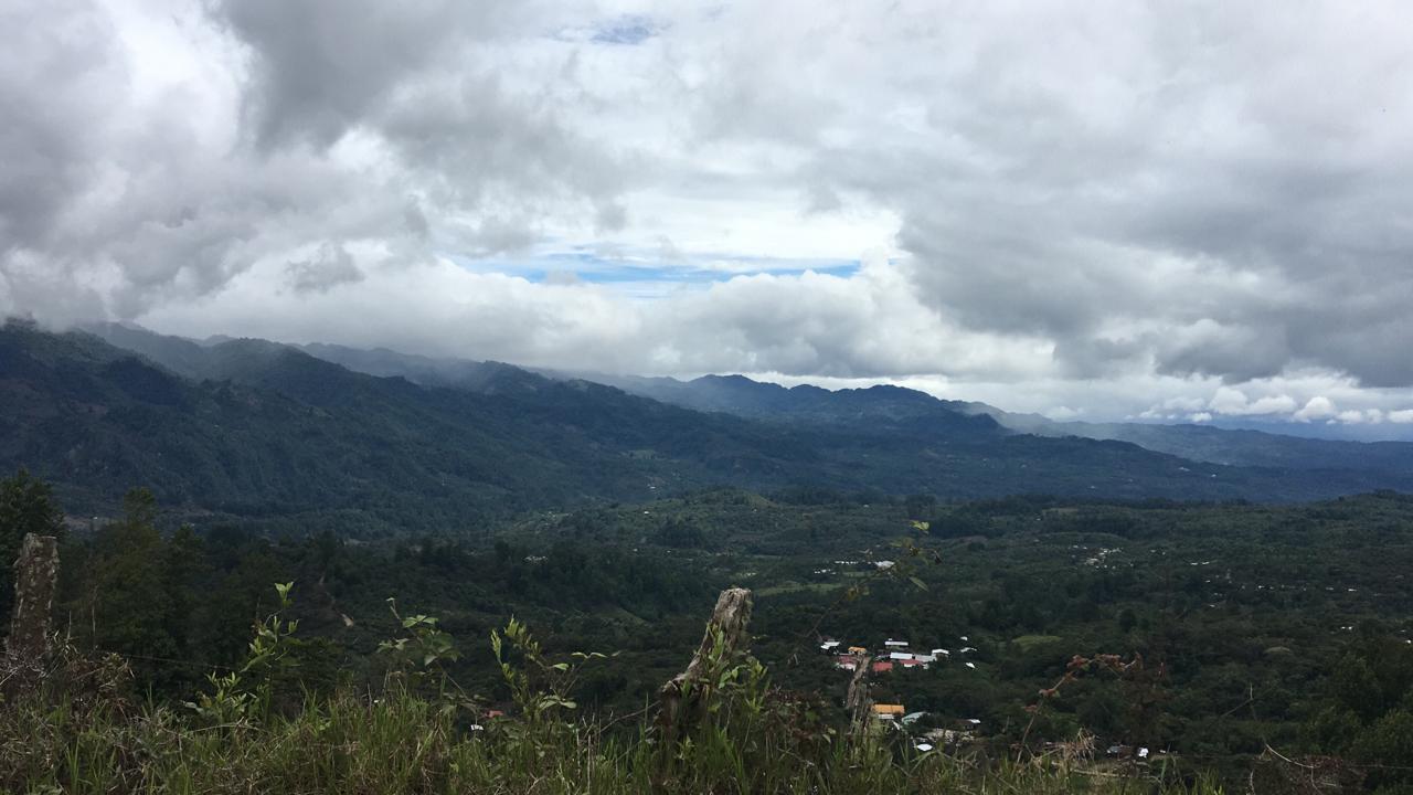 Honduras - Bernard Ornilla - Recluse Roasting Project 